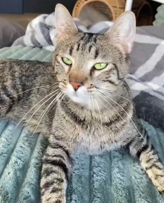 kuzco
