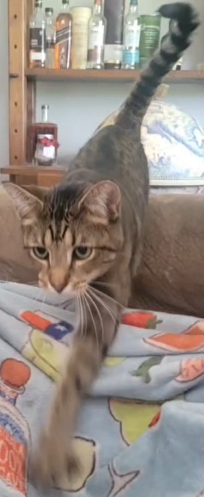 pillowcase